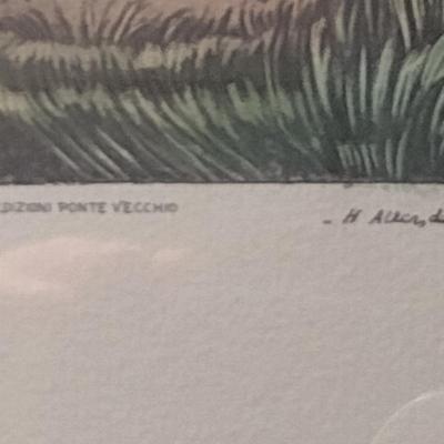 'In Full Cry- Yoi Forward' The Pytchley Hunt- Equestrian Fox Hunt Print Framed Behind Glass