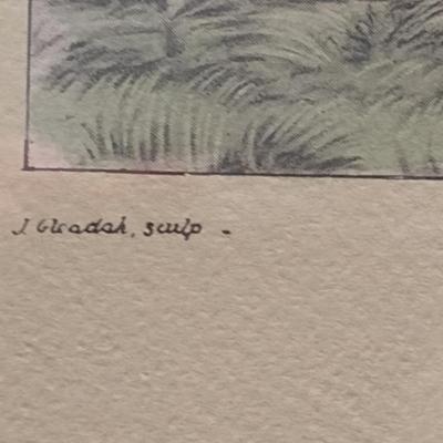 'The Death: Pull Pull- Woo Hoop' The Pytchley Hunt- Equestrian Print Framed Behind Glass