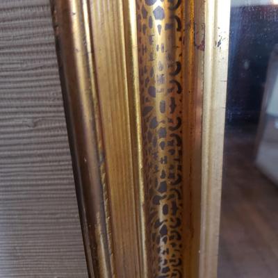 Antique Gold Framed Wall Mirror (D-KD)
