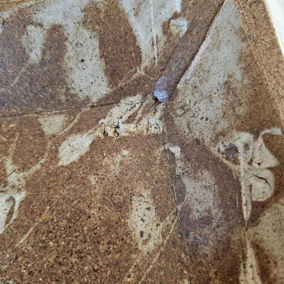 Robin Cage Pottery & More (O-JS)