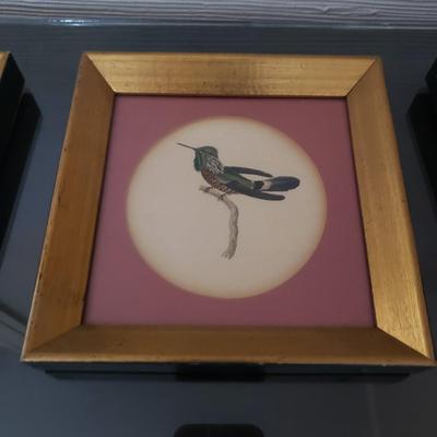 Vintage Hummingbird Prints (D-KD)