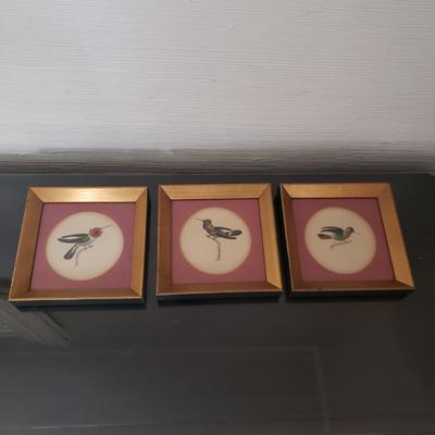 Vintage Hummingbird Prints (D-KD)