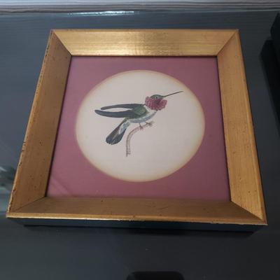 Vintage Hummingbird Prints (D-KD)