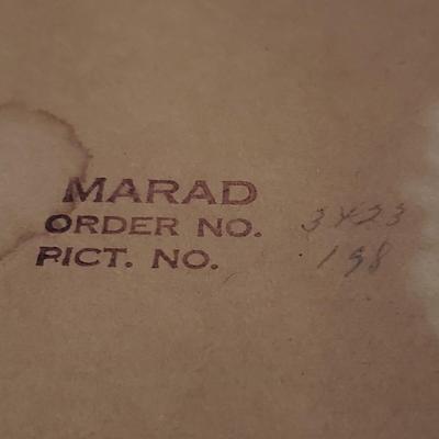 Vintage Hummingbird Prints (D-KD)