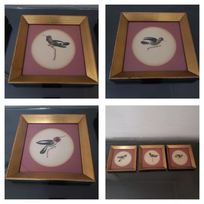 Vintage Hummingbird Prints (D-KD)