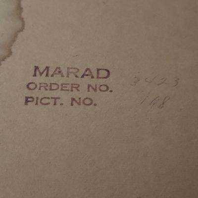 Vintage Hummingbird Prints (D-KD)