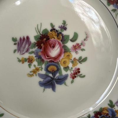 ‘Meissen’ By Black Knight Set of 11 Dinner Plates (DR-RG)