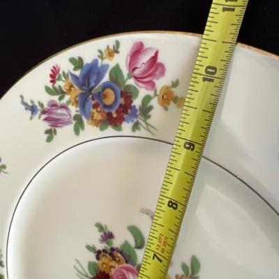 ‘Meissen’ By Black Knight Set of 11 Dinner Plates (DR-RG)