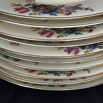 ‘Meissen’ By Black Knight Set of 11 Dinner Plates (DR-RG)