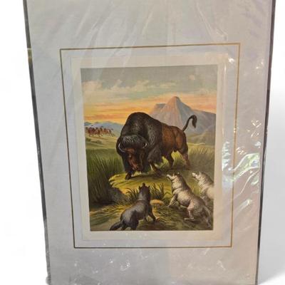 Sale Photo Thumbnail #153: Antique and vintage prints