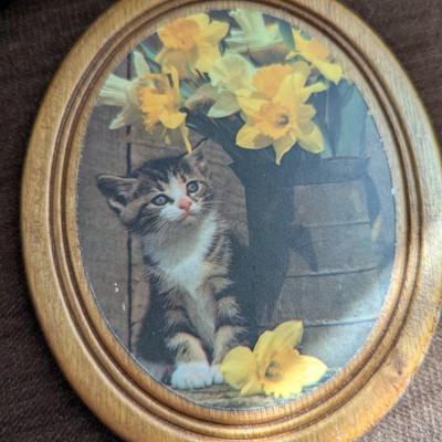 Group of Pictures...."Still Life With Flowers" Kitten with Flowers, Florentine Fruit and Floral Print, Florentine Water Pitcher...