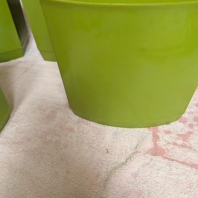 Avacodo Green Vintage Canister Set