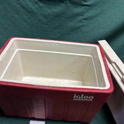 Igloo Cooler