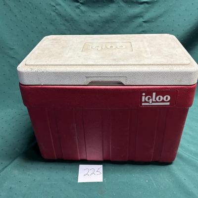 Igloo Cooler