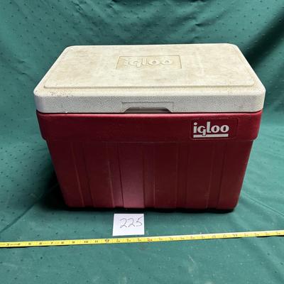 Igloo Cooler