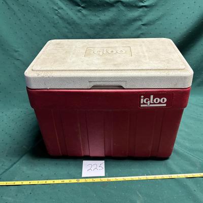 Igloo Cooler