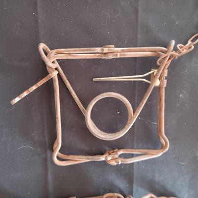 ANTIQUE COW LEG HOBBLER KICKERS AND AN OLD ANIMAL TRAP