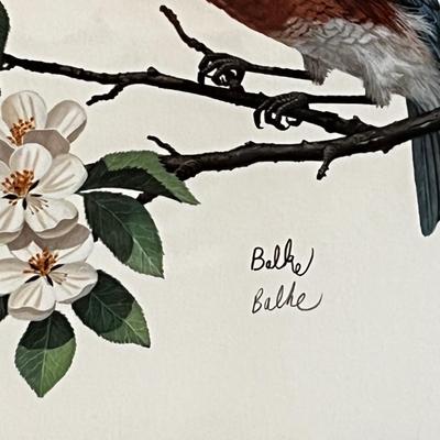 Sallie Middleton LE Pencil Signed Print & More (DR-RG)