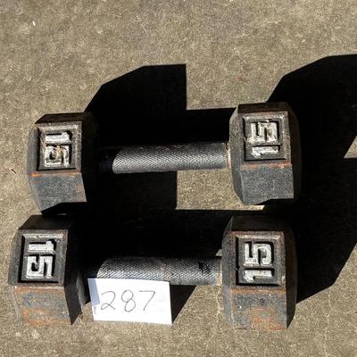15 Pound Weights