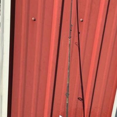 Quantum Snapshot Reel on Cirrus Rod