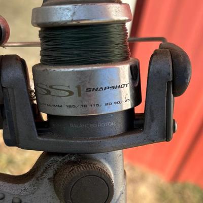 Quantum Snapshot Reel on Cirrus Rod