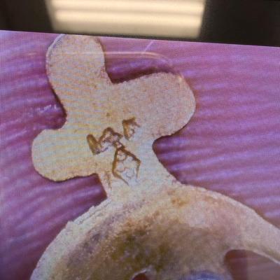 Masonic Pins, 10K NJJS Pin, Lion’s Club Pins + AVL (ST-SS)