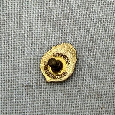 Masonic Pins, 10K NJJS Pin, Lion’s Club Pins + AVL (ST-SS)