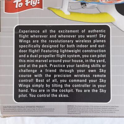 Wireless Indoor/Outdoor Remote Control Plane (PB-BBL)