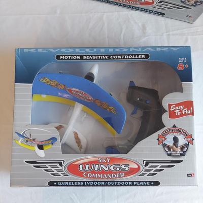 Wireless Indoor/Outdoor Remote Control Plane (PB-BBL)