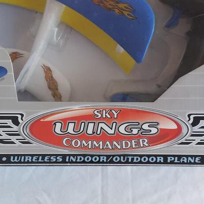 Wireless Indoor/Outdoor Remote Control Plane (PB-BBL)