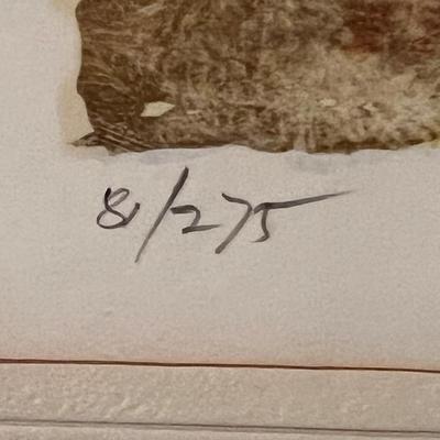 Bertoldo Taubert LE & Pencil Signed/Numbered Still Life of Vase With Flowers Print W/COA (LR-RG)