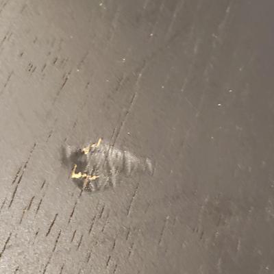 Pair of Swivel Top Stools (K-KD)