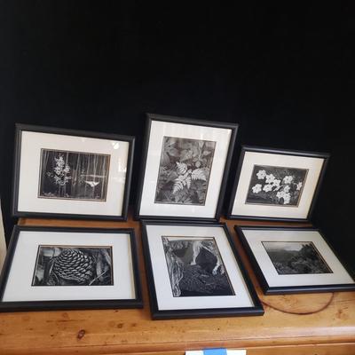 Six Framed & Matted Black and White Nature Scapes (KN-KD)