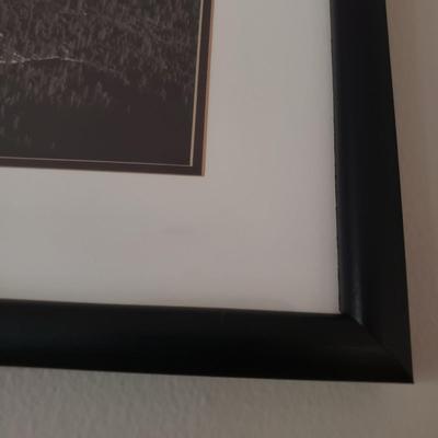 Six Framed & Matted Black and White Nature Scapes (KN-KD)
