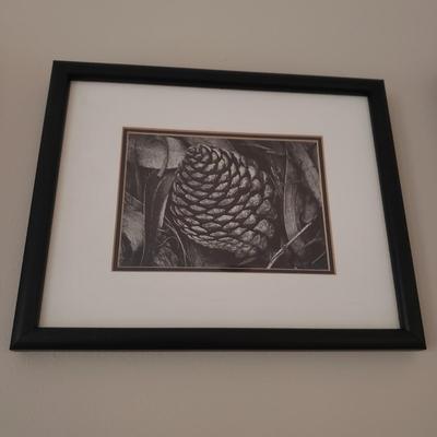 Six Framed & Matted Black and White Nature Scapes (KN-KD)