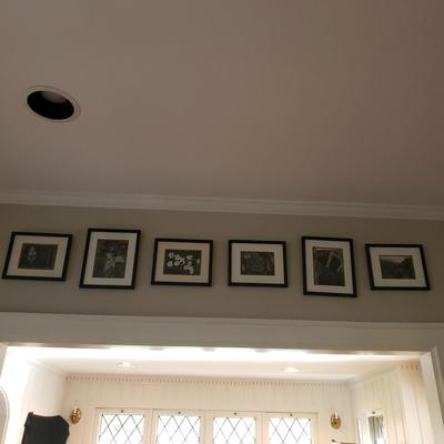 Six Framed & Matted Black and White Nature Scapes (KN-KD)