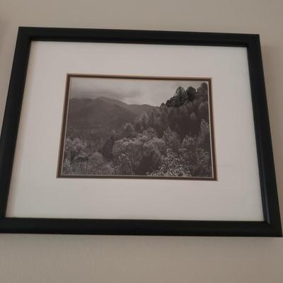 Six Framed & Matted Black and White Nature Scapes (KN-KD)