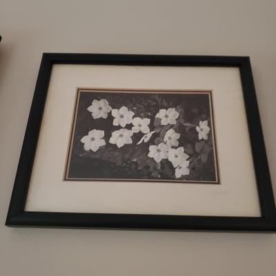 Six Framed & Matted Black and White Nature Scapes (KN-KD)