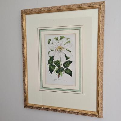 Framed Clematis Print (B1C-JS)