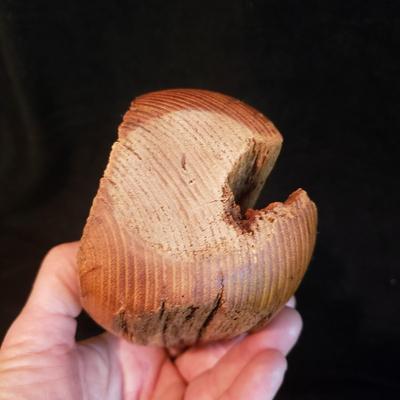 Interesting Wood Art - Moon Spoon & Pacific Merchants (KN-KD)