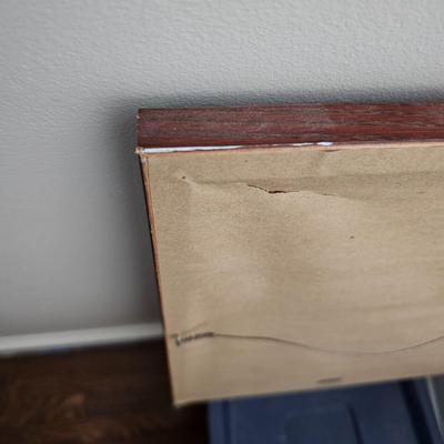 Ann Vasilik Bele Chere 1996 Framed Poster (B1C-JS)