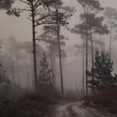 Five Black & White Framed Ansel Adams Prints (K-KD)