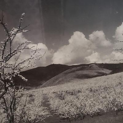 Five Black & White Framed Ansel Adams Prints (K-KD)