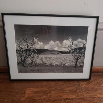 Five Black & White Framed Ansel Adams Prints (K-KD)