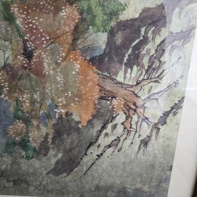 'Lone Tree' Framed Print (B1C-JS)