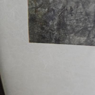 'Lone Tree' Framed Print (B1C-JS)