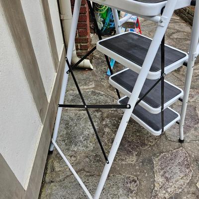 Pair of Step Stool/Ladders (BW-JS)