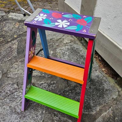 Pair of Step Stool/Ladders (BW-JS)