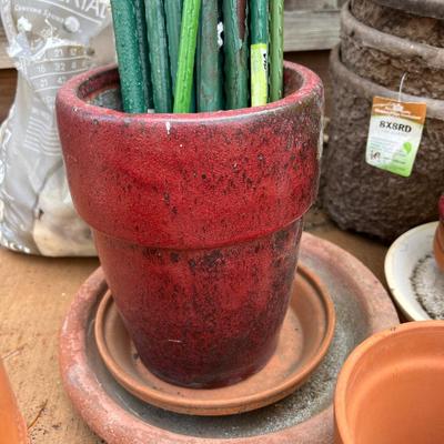 Garden Pots, Decor and Vases