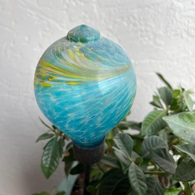 Gardenia Plant In Large Turquoise Glazed Ceramic Pot